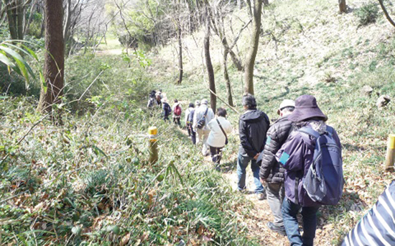 里山散策の様子