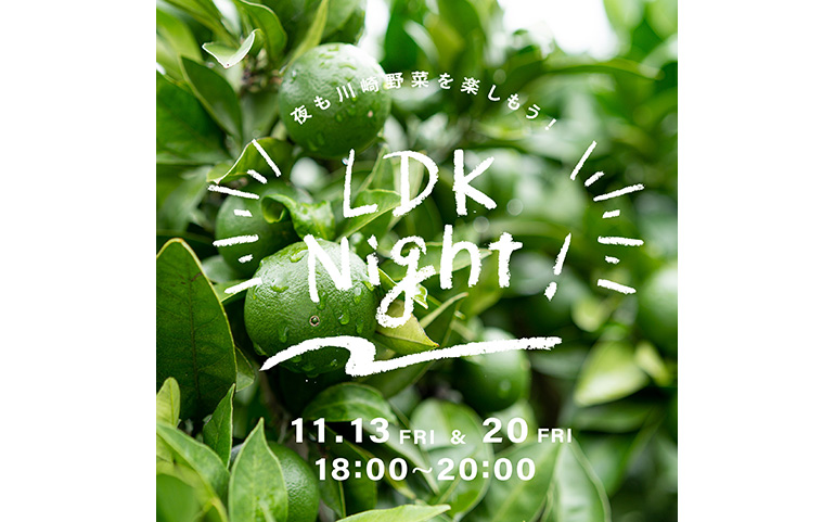 LDK night