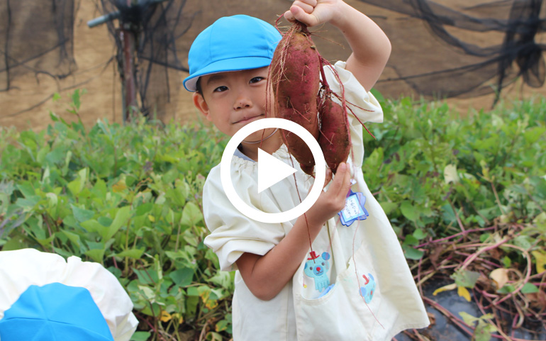 幼稚園ガイド 川崎青葉幼稚園 しんゆりエリア いなぎエリアの地域メディア Mytown