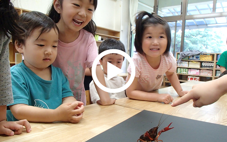 和光鶴川幼稚園