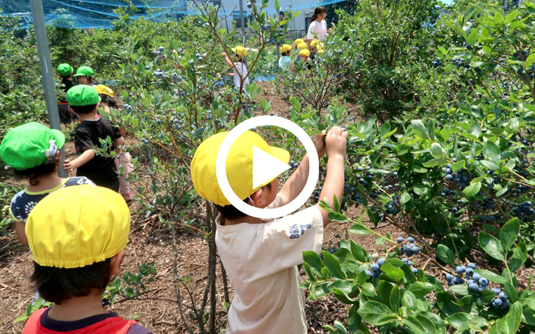 平尾わかば幼稚園