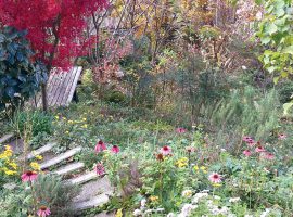「秋の庭には「静寂」が漂う」と話す杉浦さん。深い色合いで輝く植物、冬の眠りにつく前の命の輝きを見に行ってみてはいかがでしょうか