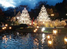 冬の夜を彩るイルミネーション「箱根ガラスの森美術館 トワイライト・ヴェニス」