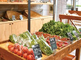 New Open柿生野菜生産者直売会「畑から、台所へ。」五月台直売所