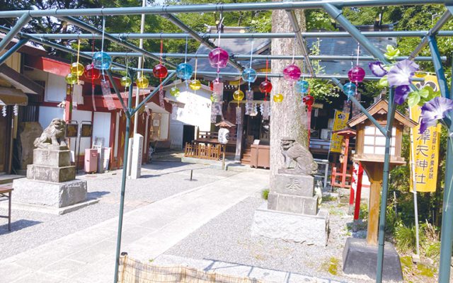 涼しげな風鈴の音とともに夏限定の水みくじも登場穴澤天神社でちょっと一息
