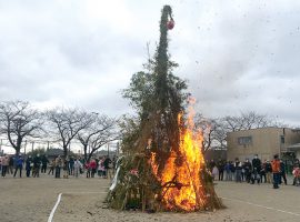 地域の人々に伝統文化を継承したい東百合丘町会のどんど焼き  長沢小学校校庭で再び復活