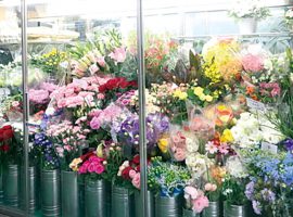 店内には花の鮮度を維持するフラワーキーパーがあり、中には色とりどりの花が収まっている