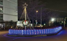 はるひ野駅前ロータリーに立つクリスマスツリー。ロータリーを囲む電飾が昨年よりも延長されました!