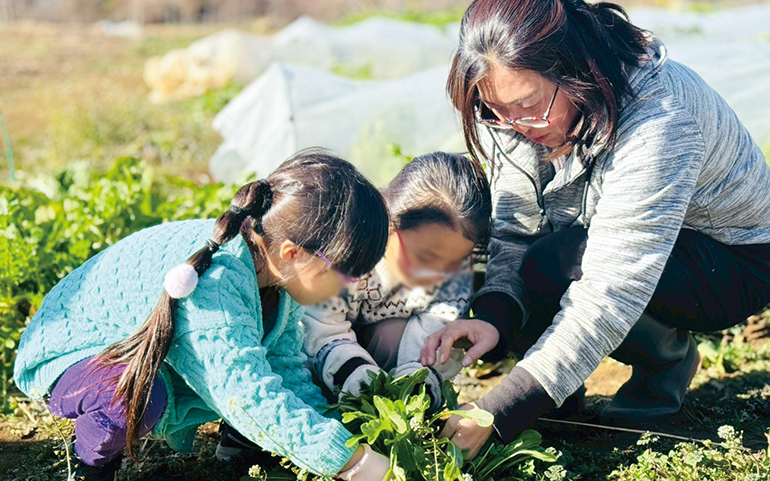 収穫指導をする太田さんイメージ