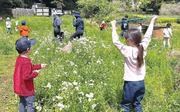 東京稲城里山義塾の昆虫観察会イメージ