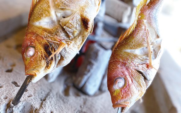 焼き魚イメージ