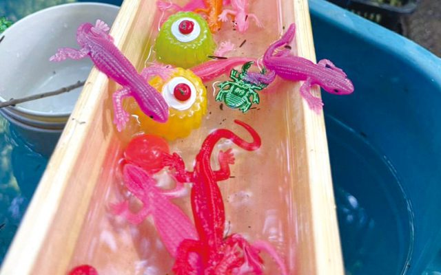 竹 deトカちゃんすくい（竹と自然で遊ぶ体験型すくい遊び）